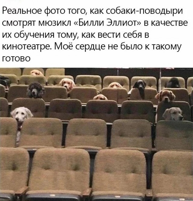 Так себе картинки 07.01.2023