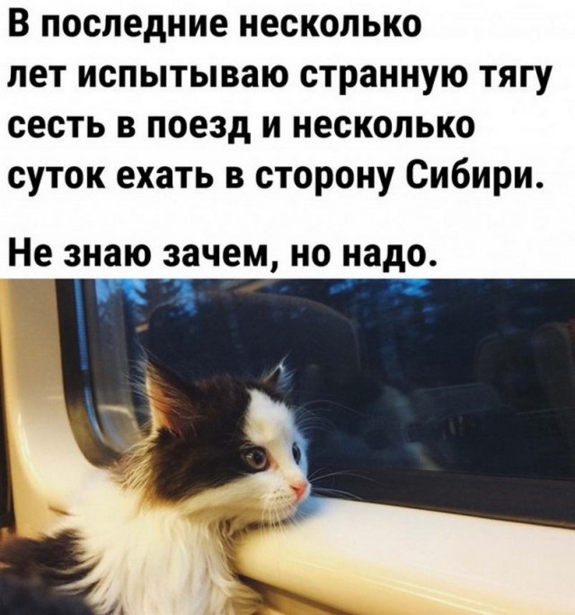 Немного картинок для настроения