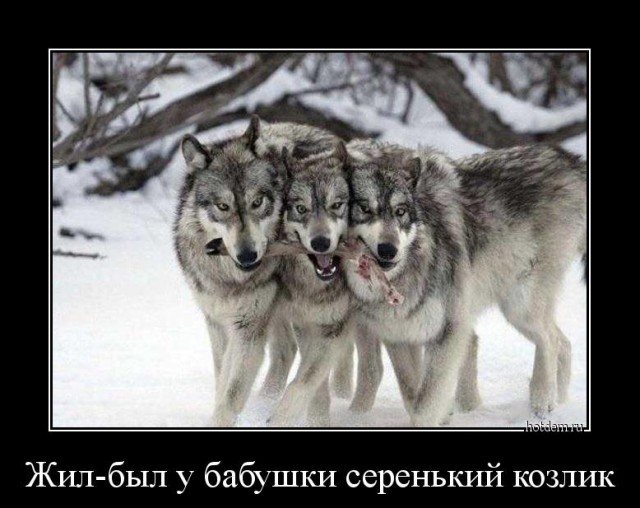 Модники из российского метрополитена