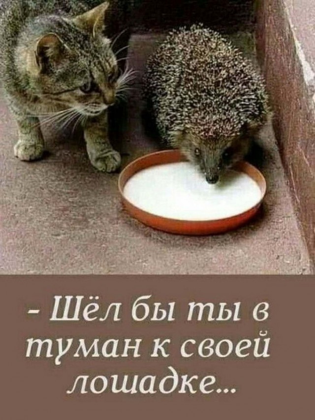 Нуштош 30.04.2023