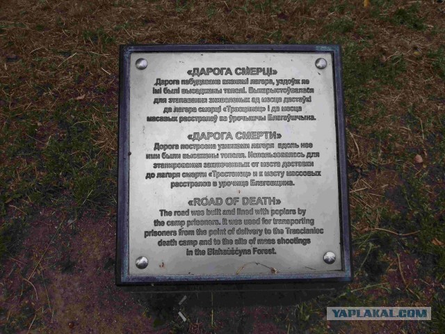 Беларусь. Июнь 2023