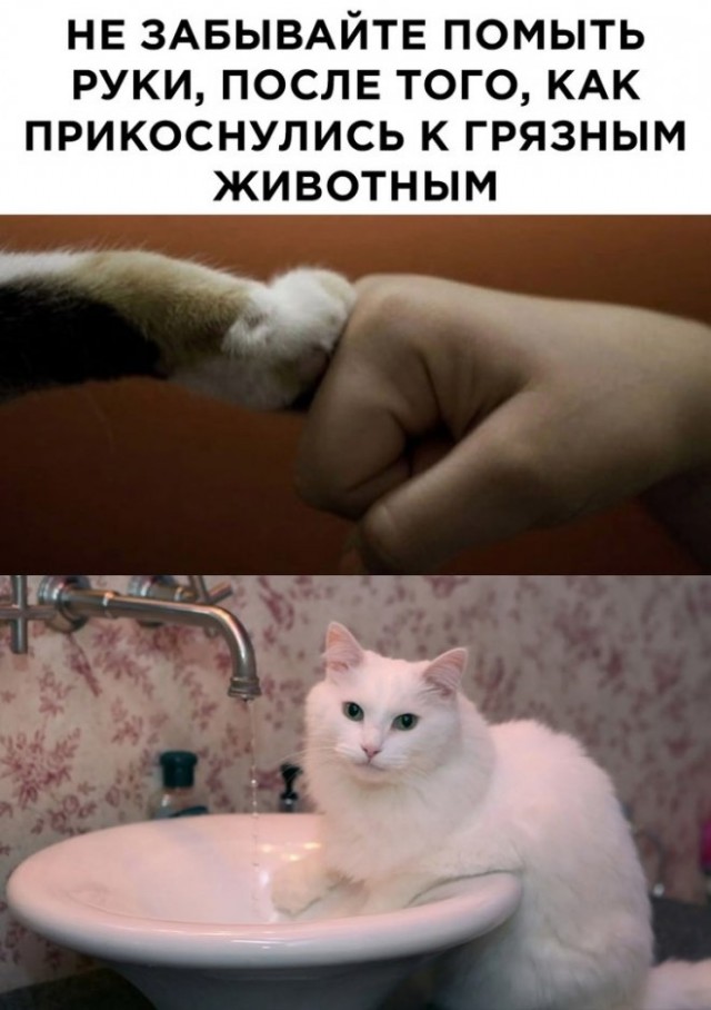 Улыбательные картинки и тексты