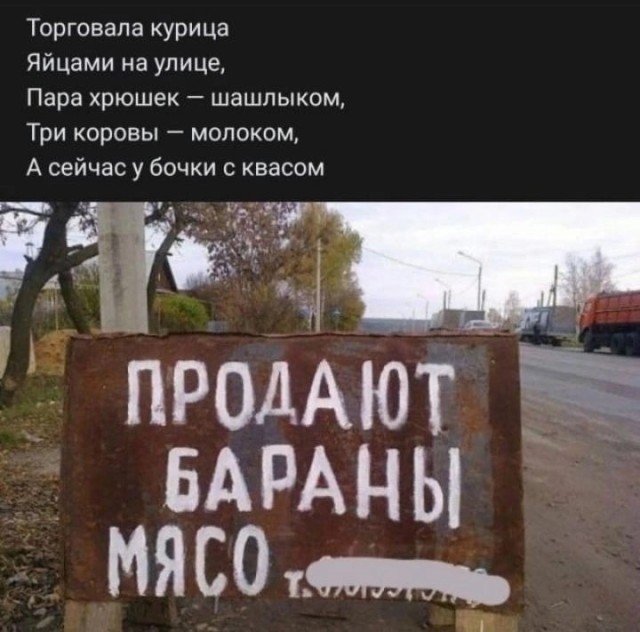 Забавные комментарии из социальных сетей (18.09.23)