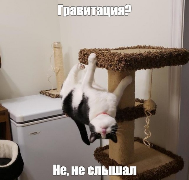 5 фактов о гравитации — одной из самых загадочных сил во Вселенной