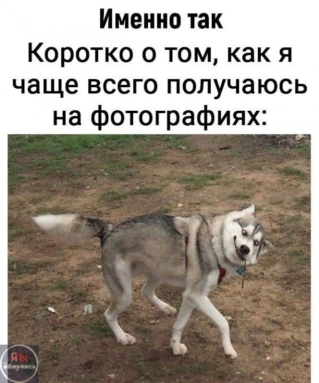 Юмор в картинках и без