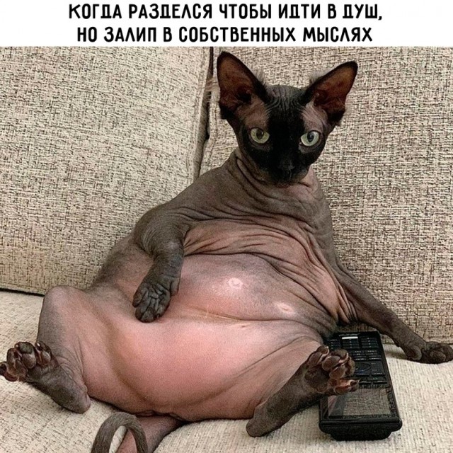 Весёлый полтишок 13.03.24