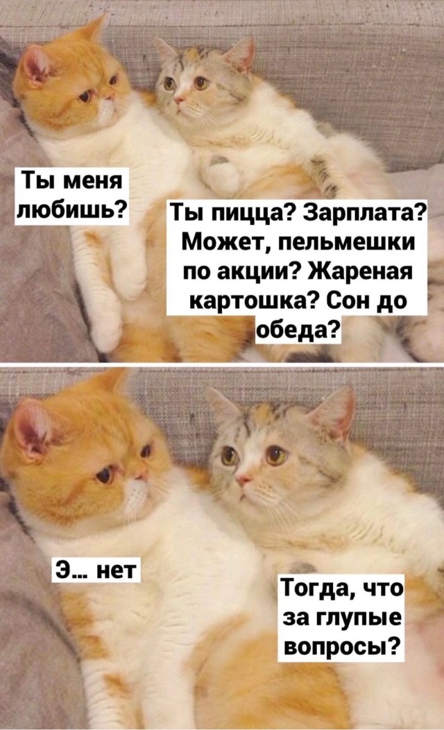 Так себе картинки 13.06.24