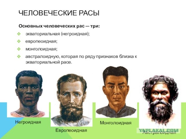 Никита пояснил за негров
