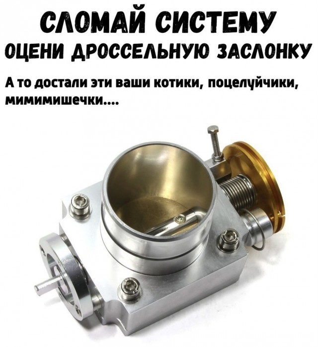 Так себе картинки 13.07.24