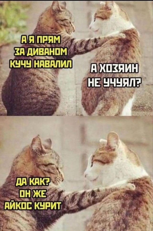 Завалялось тут случайно немного забавных картинок