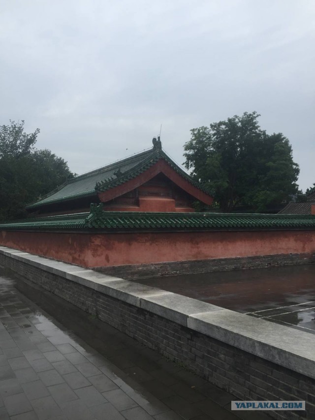 Китай. Пекин-Бэйдайхэ 20024 China.  Beijing-Beidaihe 20024 中国。北京北戴河 20024