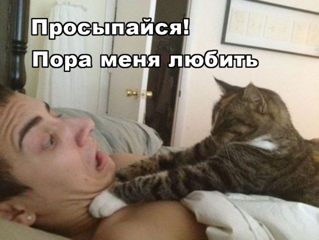 Лучшее решение