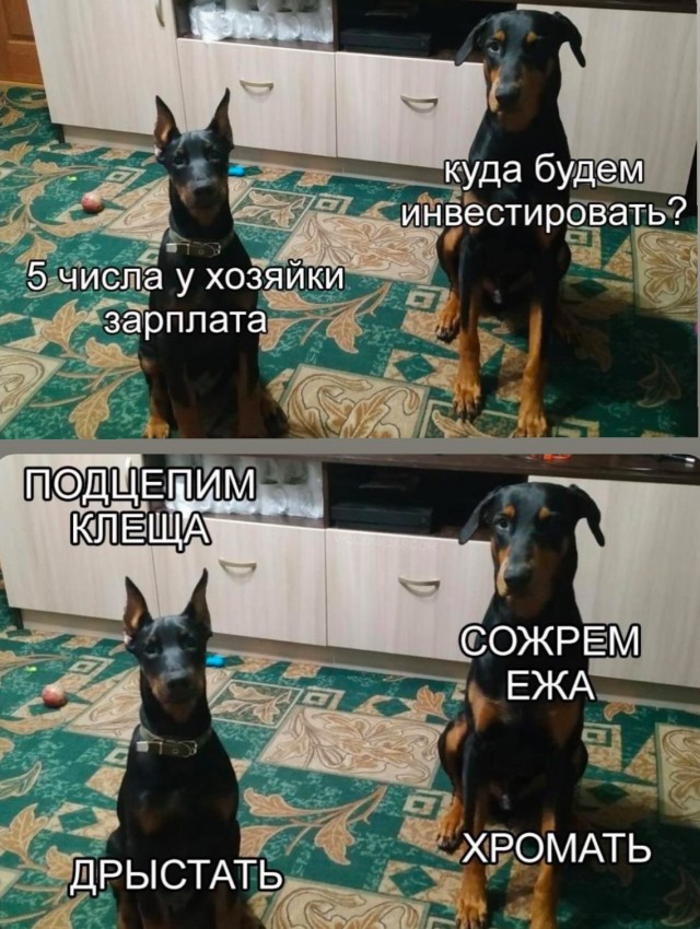 Завалялось тут случайно немного забавных картинок