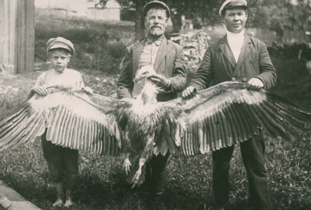 Страна довоенная 03.03.2025