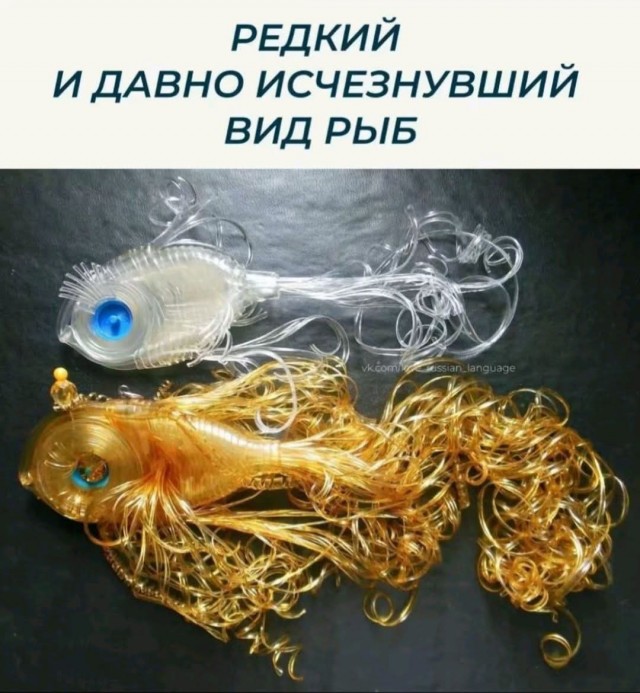 From the archives. Часть первая.
