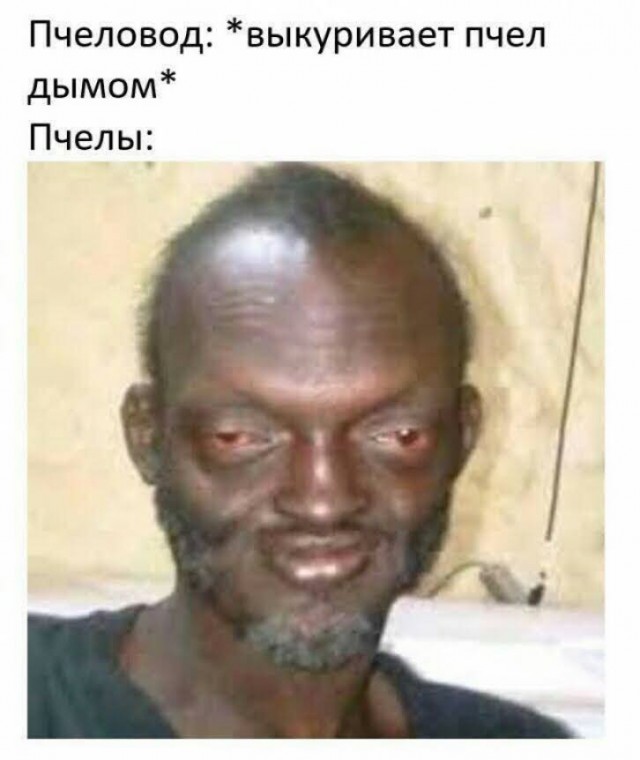 Веселые картинки в среду, практически пятницу 30.04