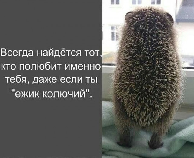 Прикольные и просто красивые картинки 06.06.2025
