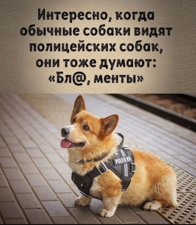 Так себе картинки 09.07.25