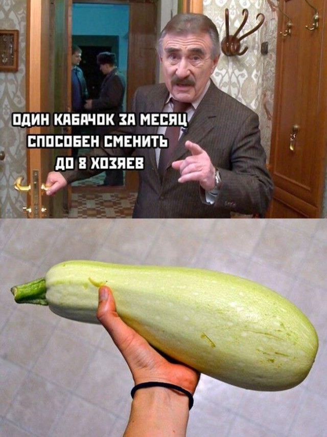 Про кабачки