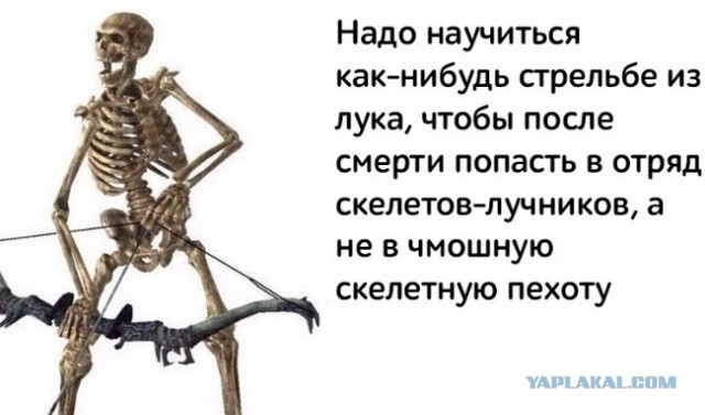 Фу жирухи