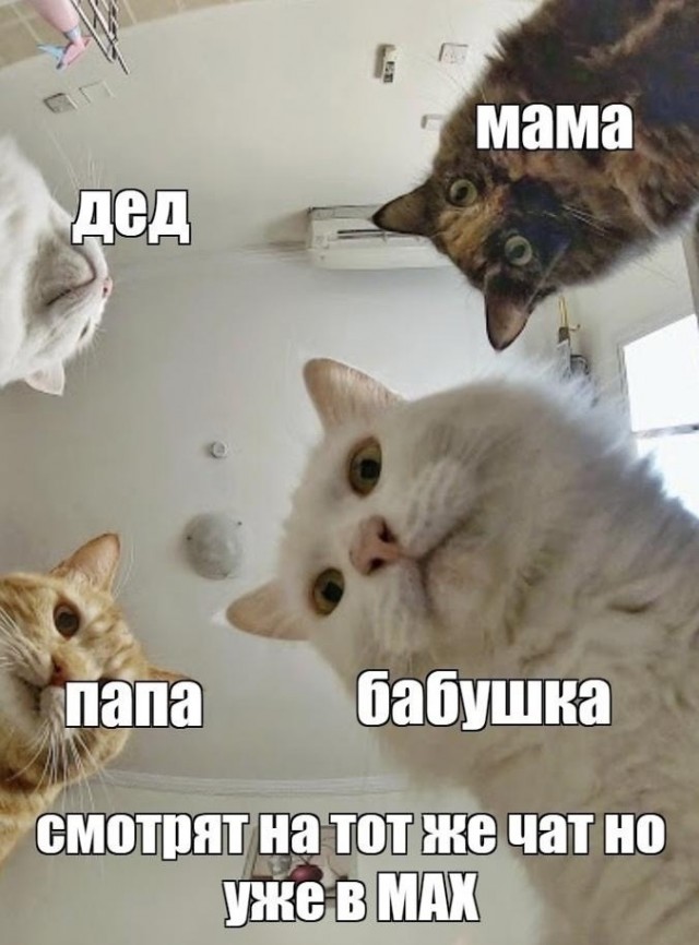 Пятницы картинки