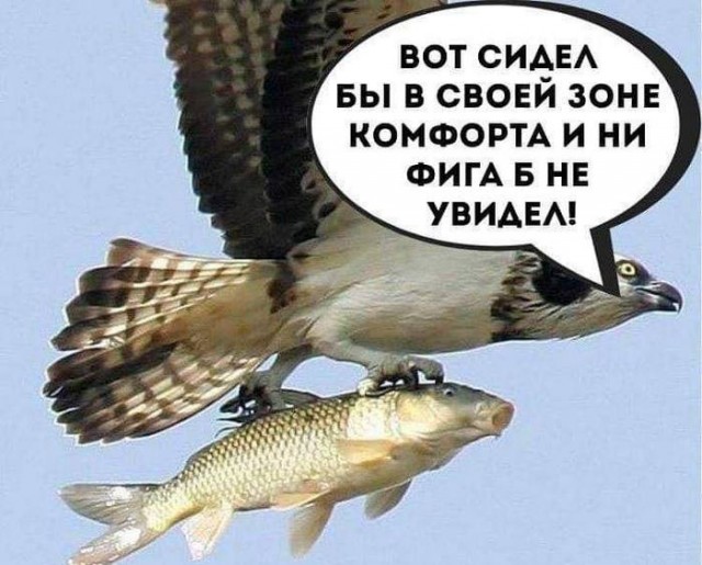 Орёл показывает зайцу зимнюю красоту