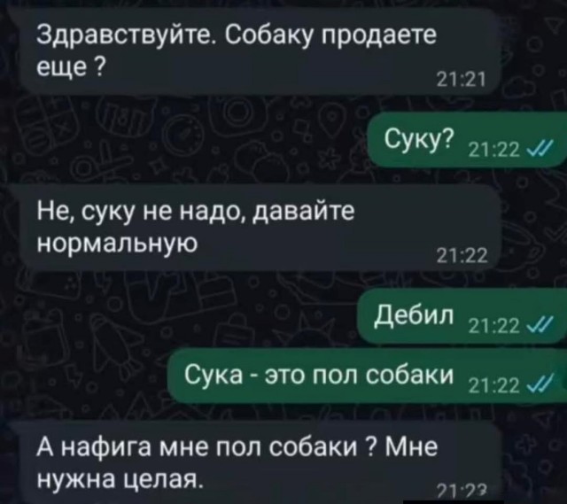 Картинки для деградации 115 (разной степени свежести)