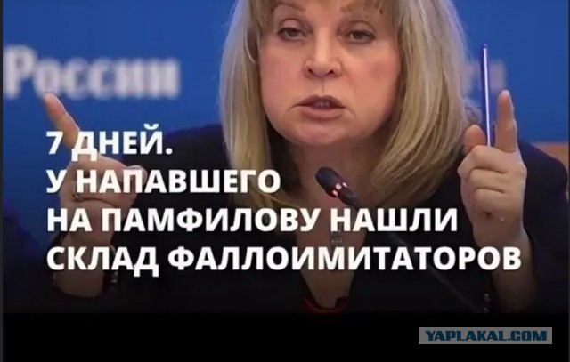 Памфилова первой в истории России переизбрана председателем ЦИК на третий срок
