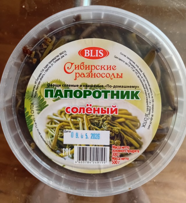 Папоротник