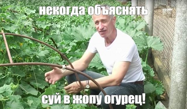 Самой боянистой на вашей памяти картинки псто