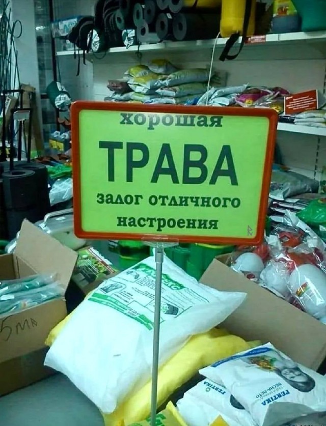 Картинки для деградации 235 (разной степени свежести)