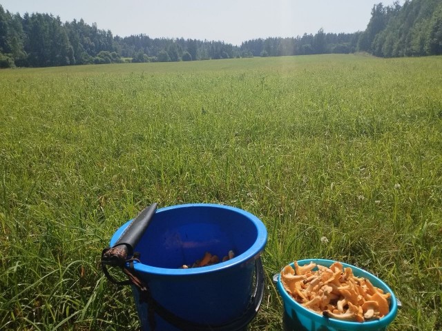 Первый выход на тихую охоту