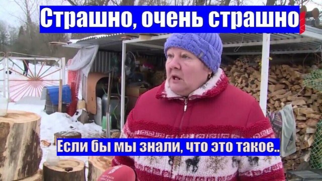 Частица бога