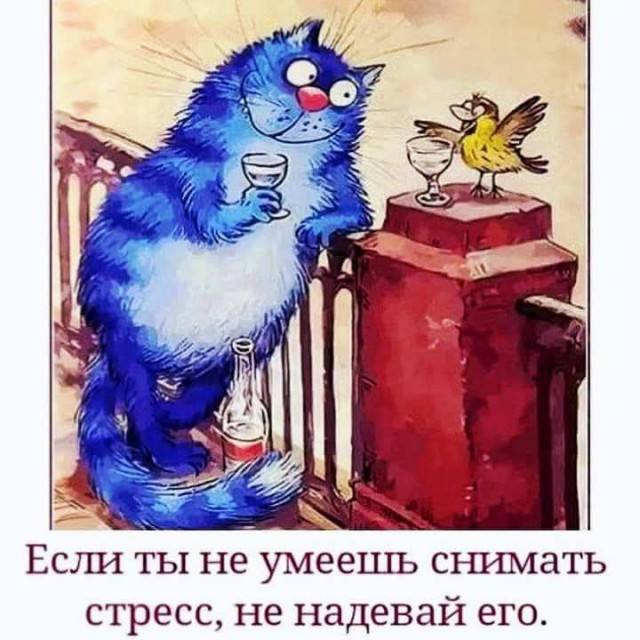 Забавные картинки, шутки из этих ваших интернетов