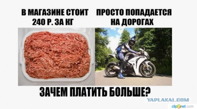 Добвыебв@лся