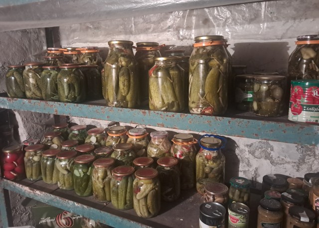 А что у вас на сегодня с огородами, каков урожай?