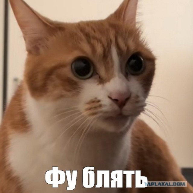Чёрный юмор