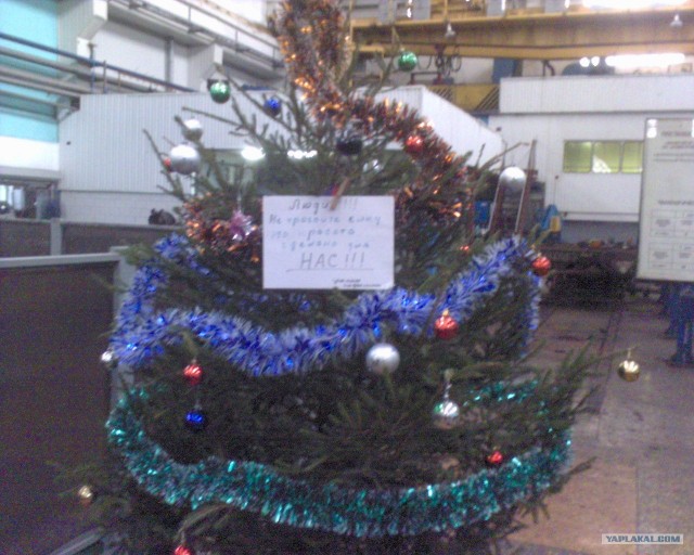 Наши люди и в оформлении ёлки удивят (2 фото)