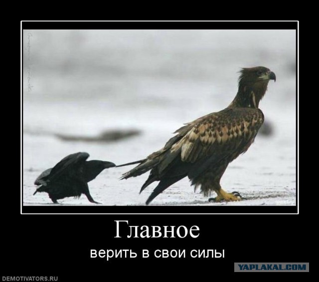 Ужик тырит щуку
