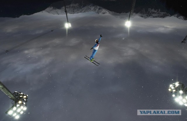 28 самых удачных кадров февраля