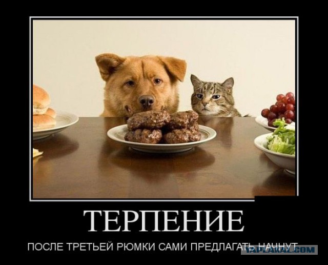 Картинки для хорошего настроения