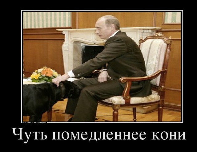 Паранои пост