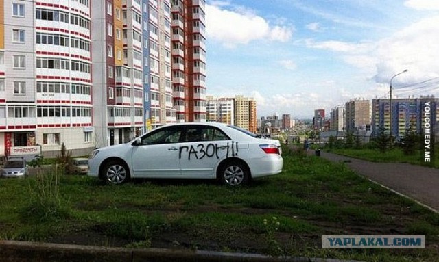 Картинки