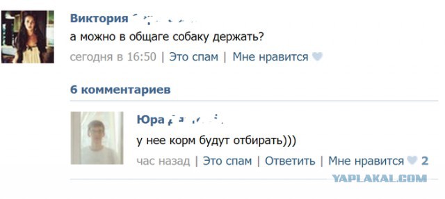Очередная подборка коментов