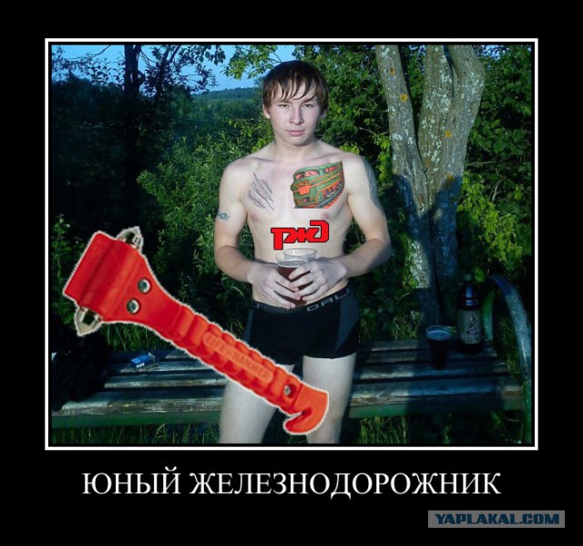Эксперимент. Человек vs.обезьяна