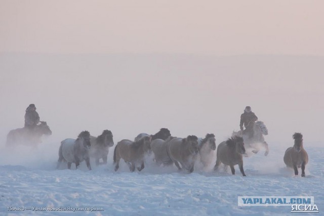 52 градуса ниже нуля
