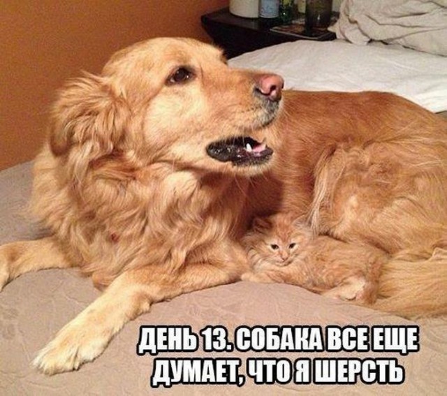 Картинки из сети на вторник