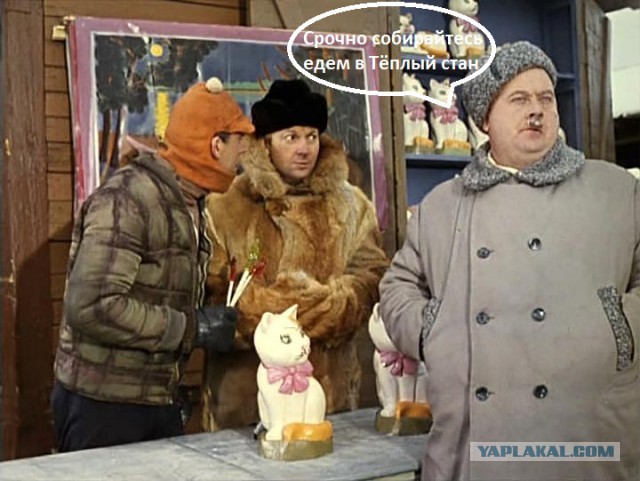 Цены на овощи в Москве!