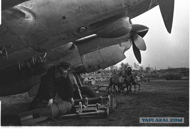 Фотографы войны.Авиация севера