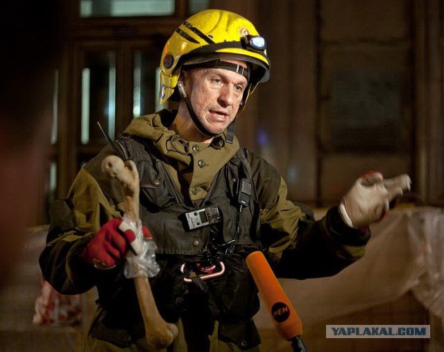 О чём думают грибы?